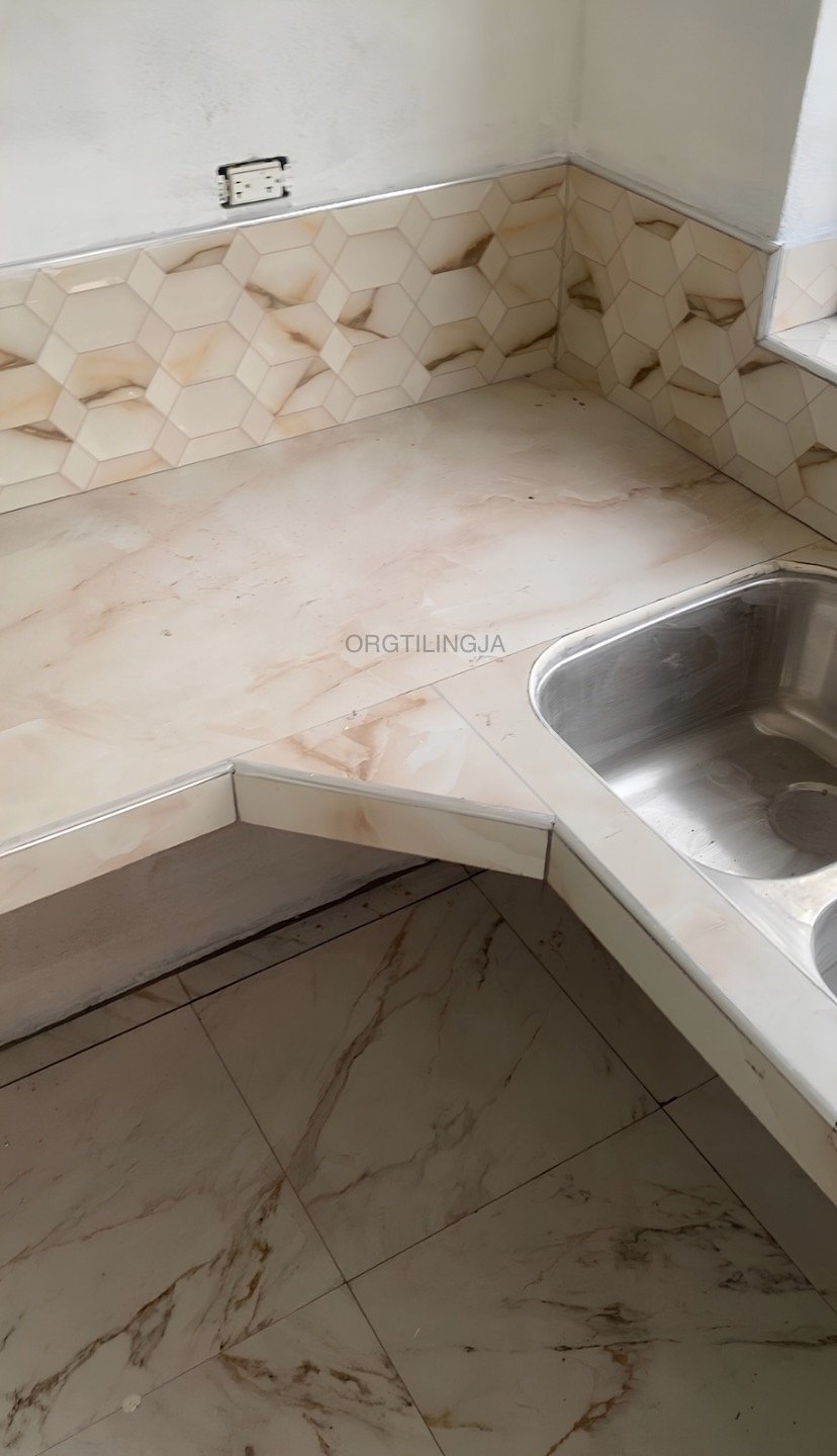 skilled tiler